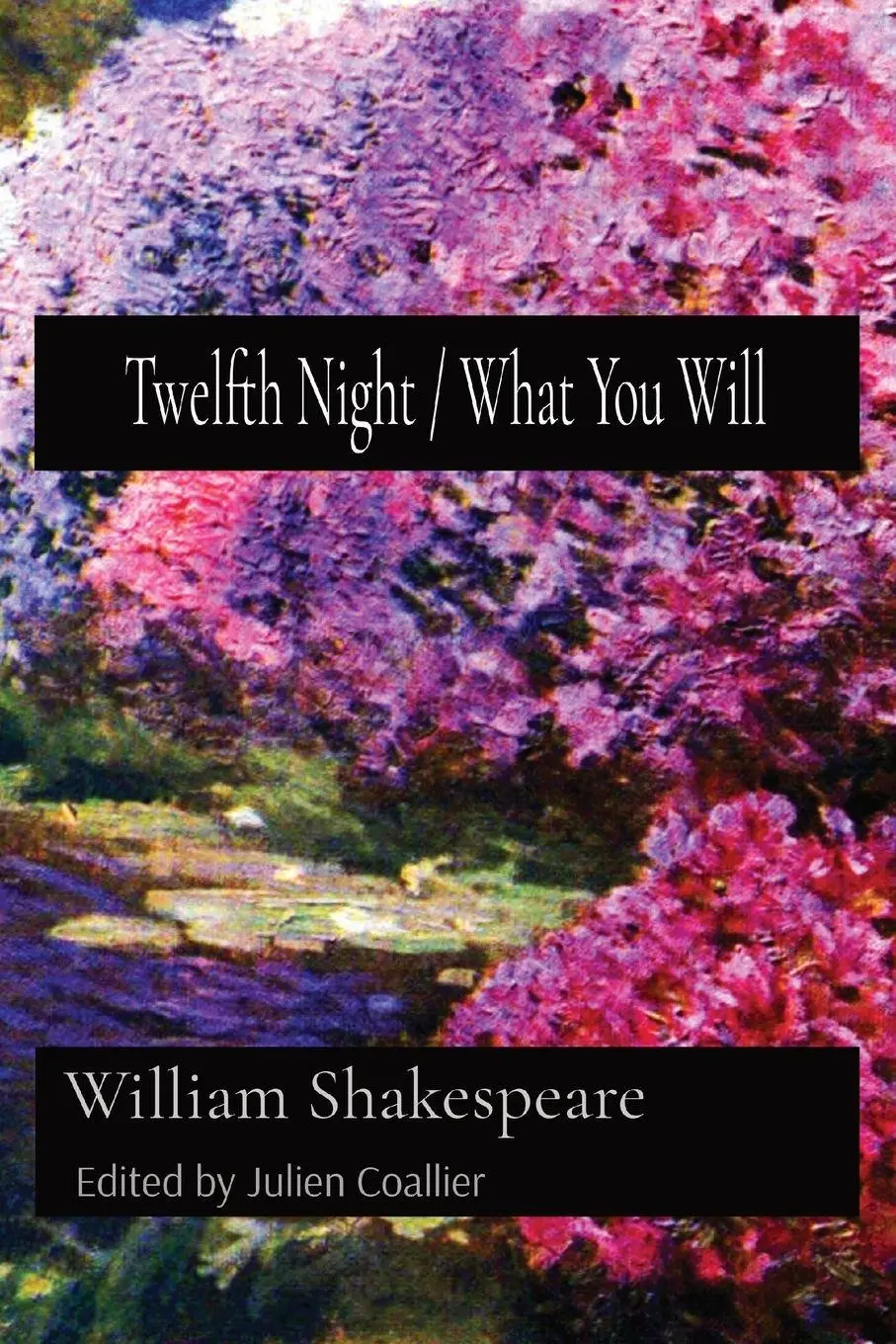 Cover: 9781773471181 | Twelfth Night / What You Will | William Shakespeare | Taschenbuch