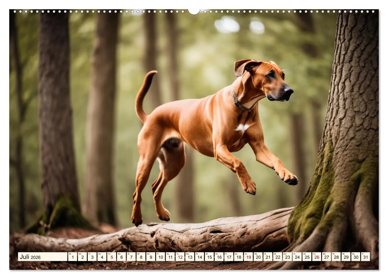 Bild: 9783457391181 | Rhodesian Ridgeback - Athlet mit Rückenkamm (hochwertiger Premium...