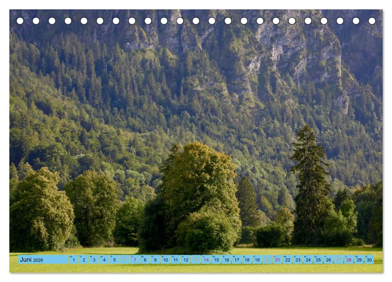 Bild: 9783457771181 | Schöner Forggensee (Tischkalender 2026 DIN A5 quer), CALVENDO...