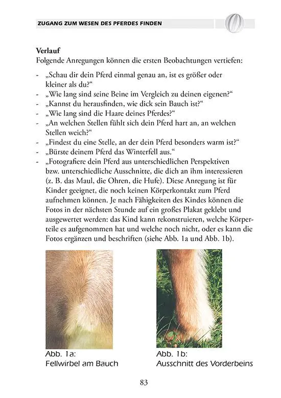 Bild: 9783926341181 | PferdeTräume | Ganzheitliche Ansätze im Reitunterricht mit Kindern