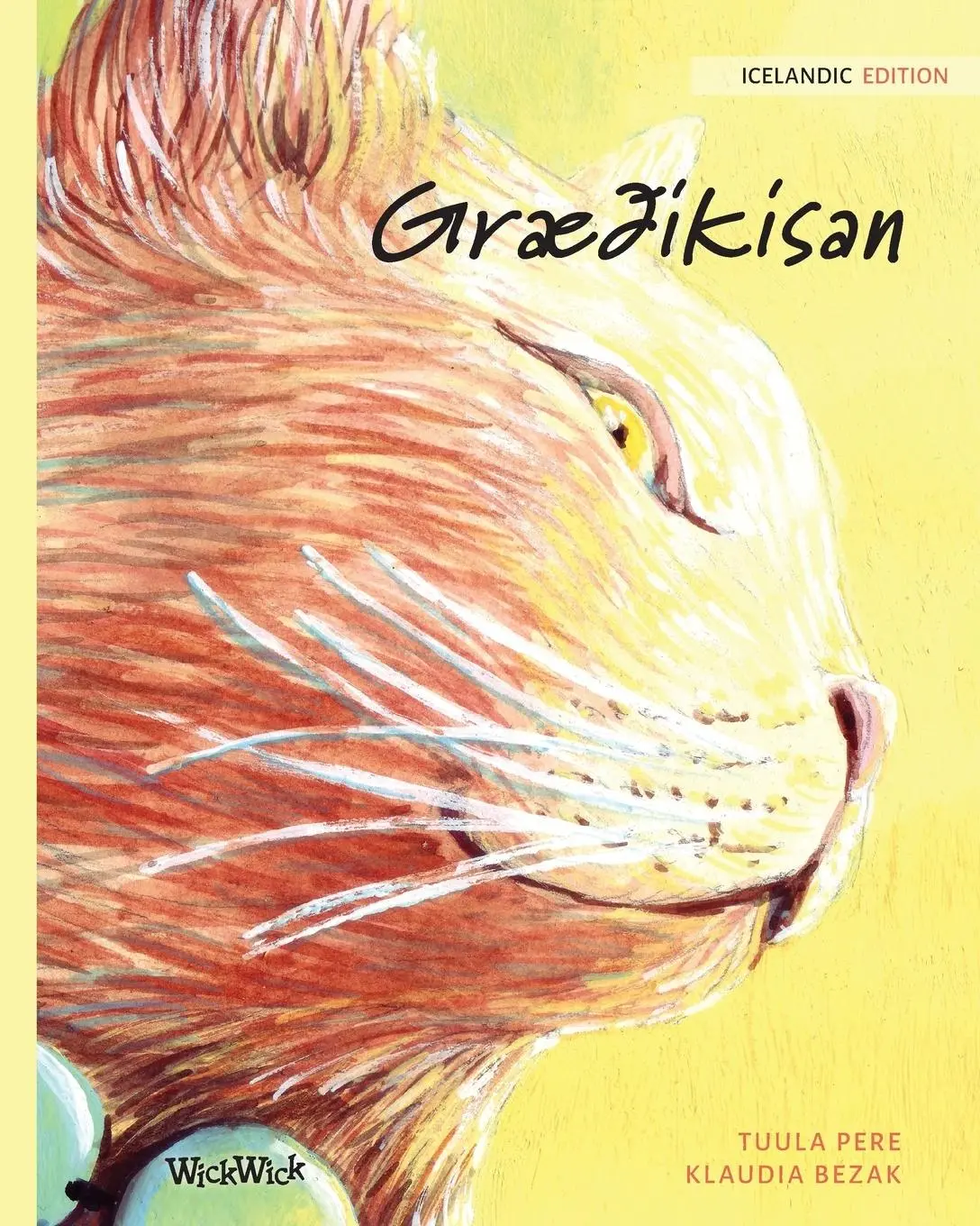 Cover: 9789523571181 | Græðikisan | Icelandic Edition of The Healer Cat | Tuula Pere | Buch