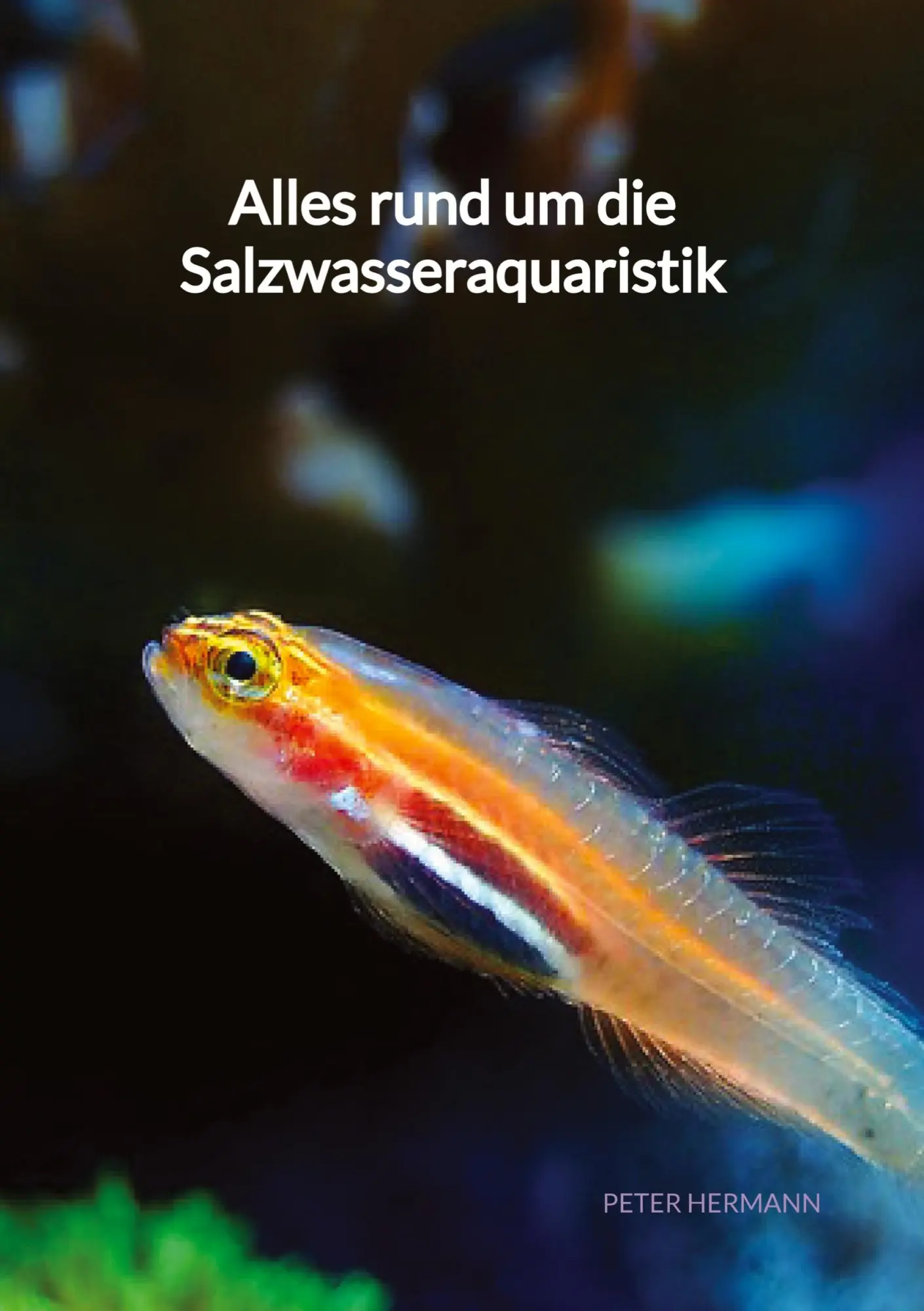 Cover: 9783347941281 | Alles rund um die Salzwasseraquaristik | Peter Hermann | Buch | 104 S.