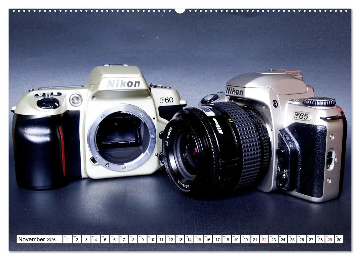Bild: 9783457521281 | Analog fotografieren (Wandkalender 2026 DIN A2 quer), CALVENDO...