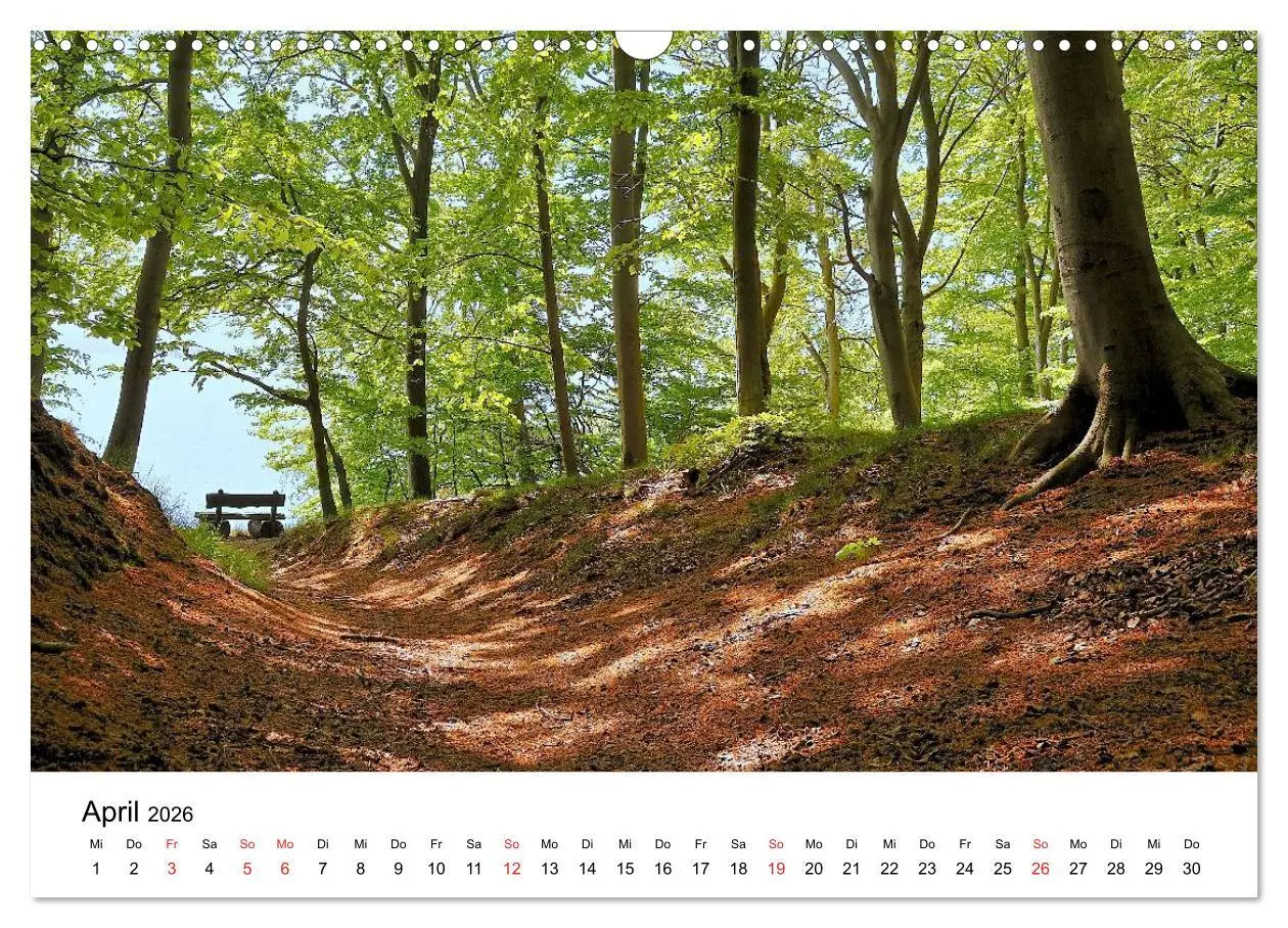 Bild: 9783516231281 | Insel Rügen (Wandkalender 2026 DIN A3 quer), CALVENDO Monatskalender