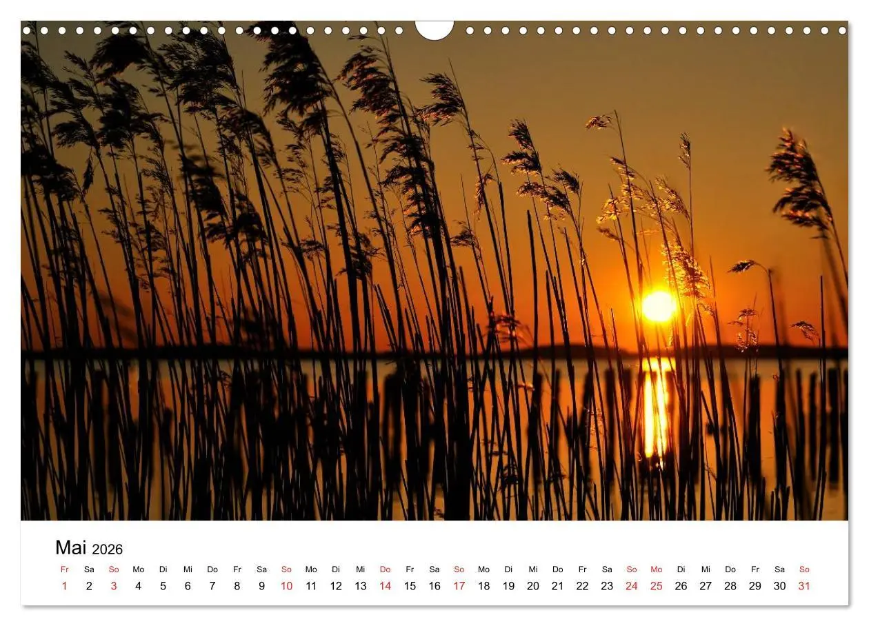 Bild: 9783516231281 | Insel Rügen (Wandkalender 2026 DIN A3 quer), CALVENDO Monatskalender