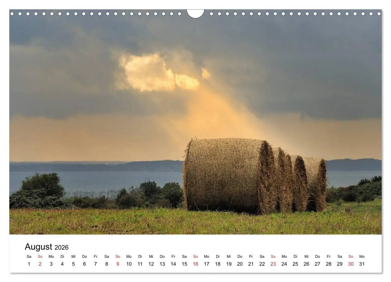 Bild: 9783516231281 | Insel Rügen (Wandkalender 2026 DIN A3 quer), CALVENDO Monatskalender