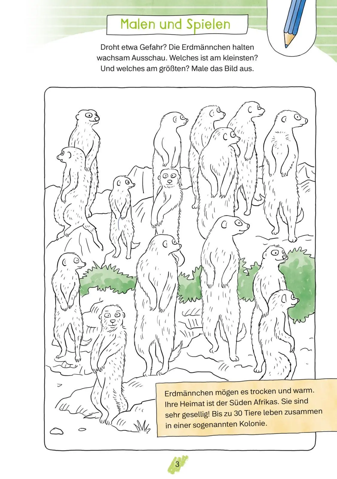 Bild: 9783551191281 | Conni Gelbe Reihe (Beschäftigungsbuch): Mein megatolles Vorschulbuch