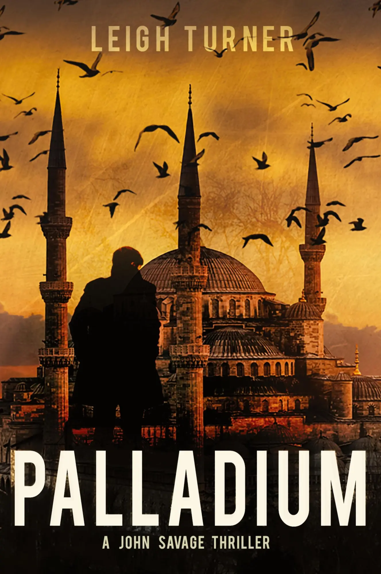 Cover: 9781953491381 | Palladium | Leigh Turner | Taschenbuch | Englisch | 2022