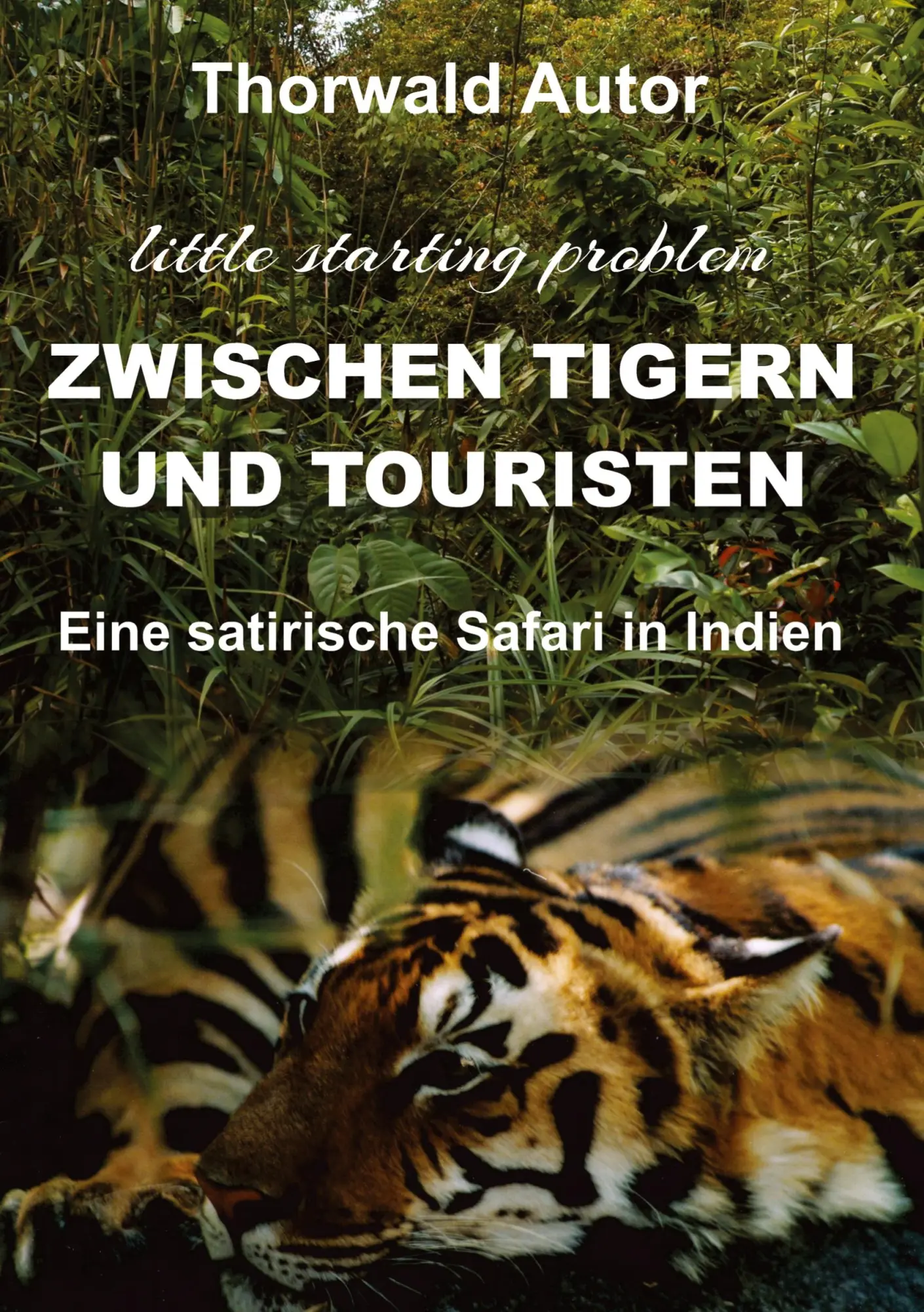 Cover: 9783347481381 | Zwischen Tigern und Touristen | Thorwald Autor | Taschenbuch | 288 S.