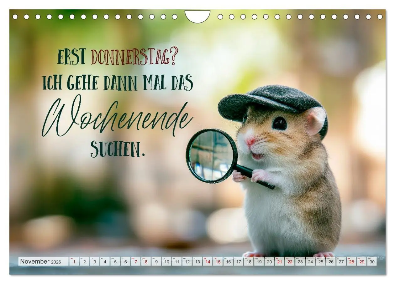 Bild: 9783457991381 | Hamsterhumor - Kleine Zuckerschnute, aber oho (Wandkalender 2026...