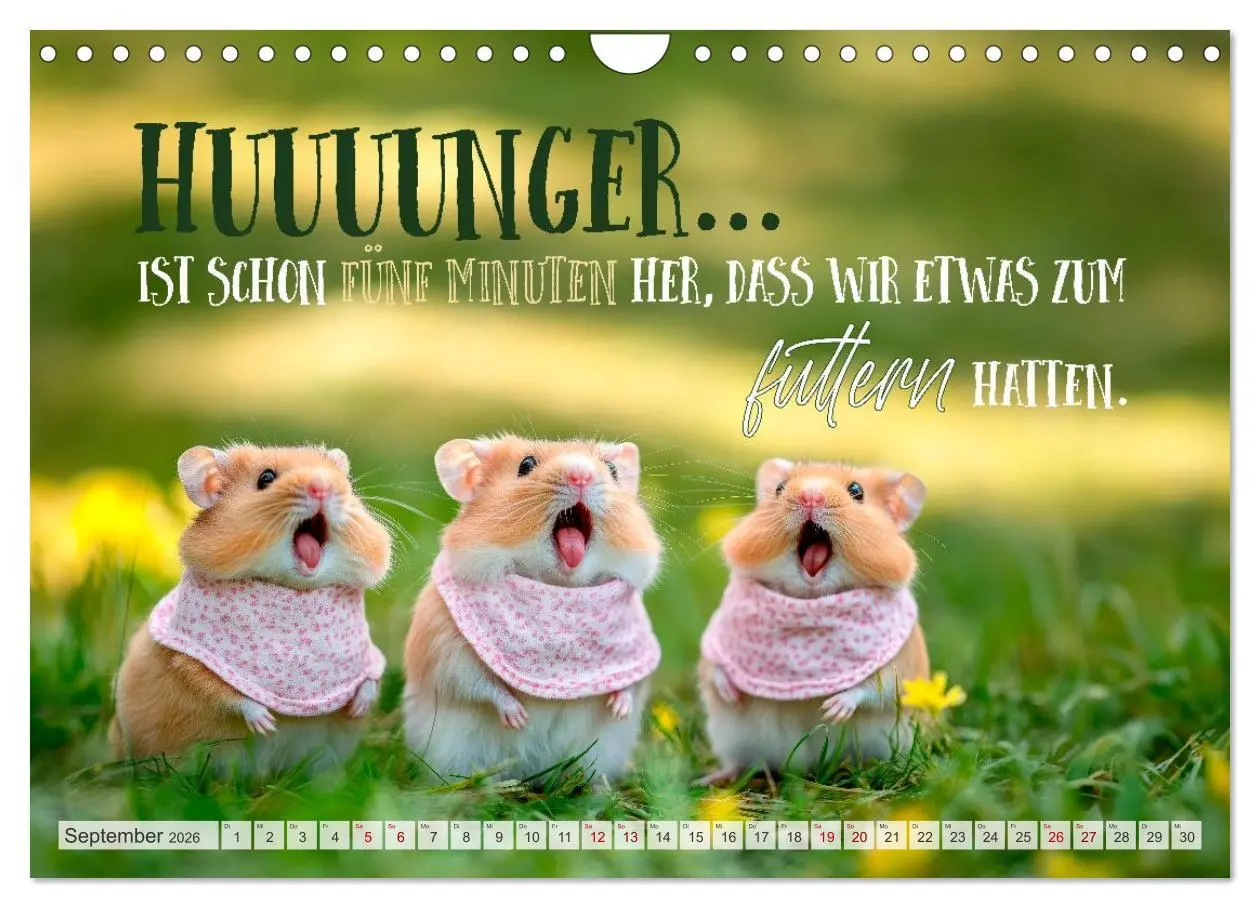 Bild: 9783457991381 | Hamsterhumor - Kleine Zuckerschnute, aber oho (Wandkalender 2026...
