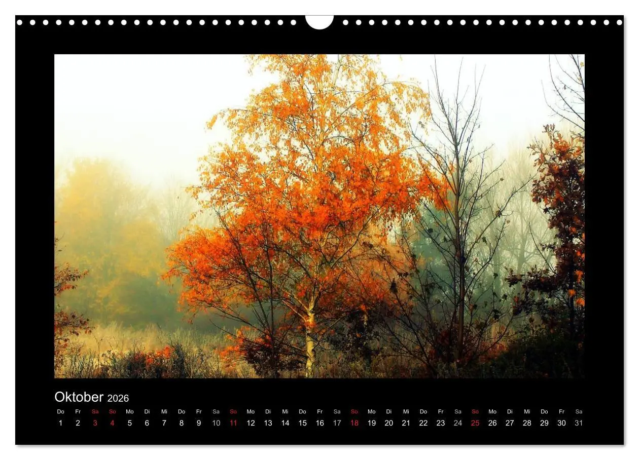 Bild: 9783516221381 | Landschaft Teufelsmoor / 2026 (Wandkalender 2026 DIN A3 quer),...