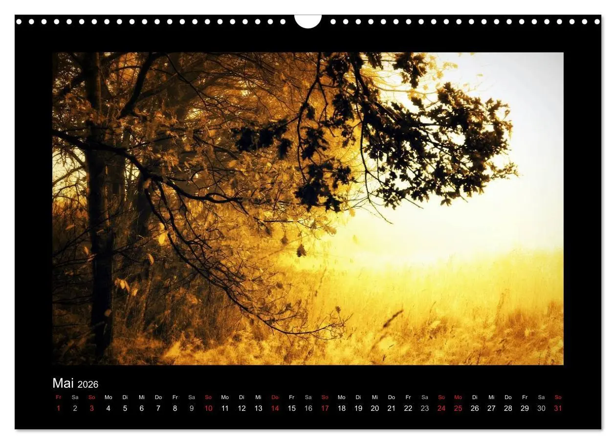 Bild: 9783516221381 | Landschaft Teufelsmoor / 2026 (Wandkalender 2026 DIN A3 quer),...