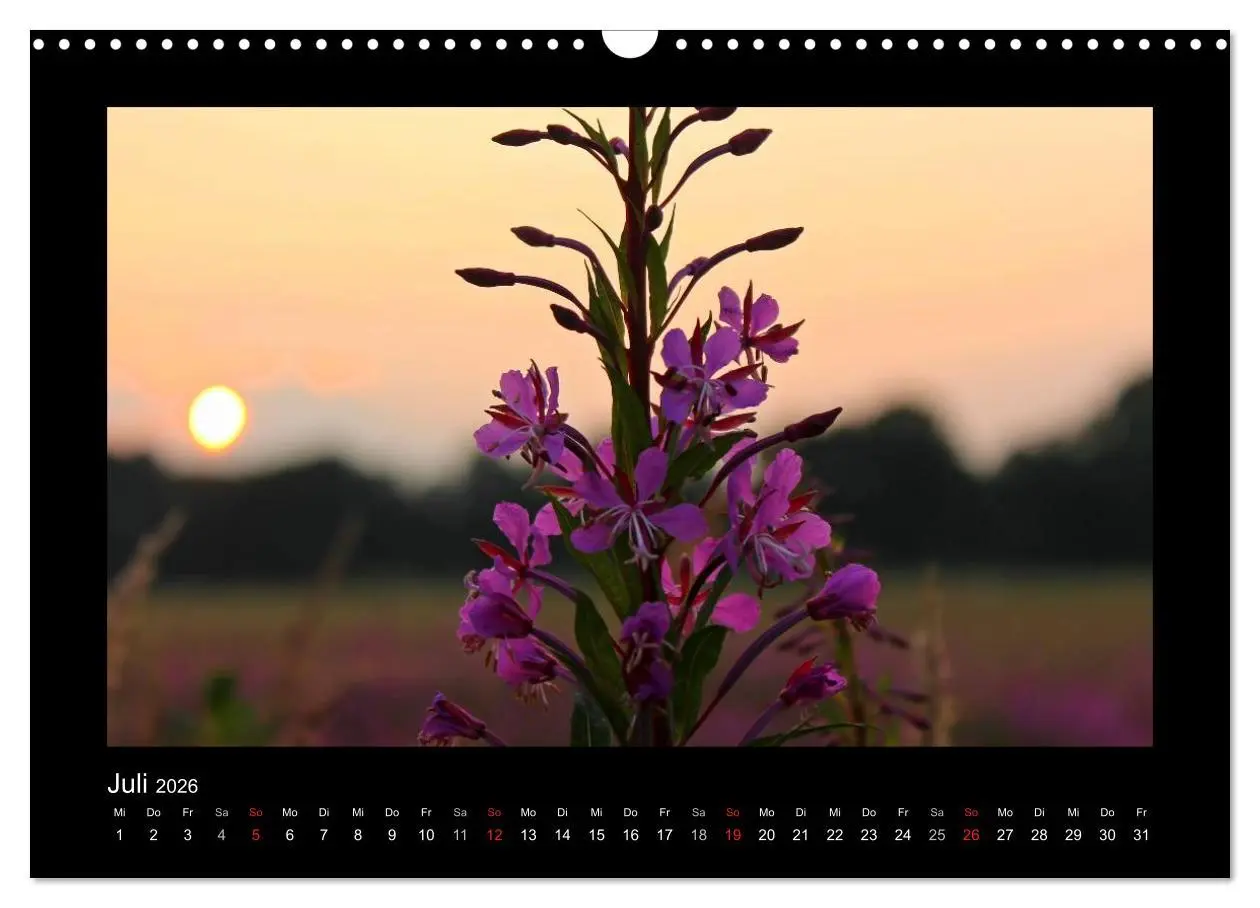 Bild: 9783516221381 | Landschaft Teufelsmoor / 2026 (Wandkalender 2026 DIN A3 quer),...