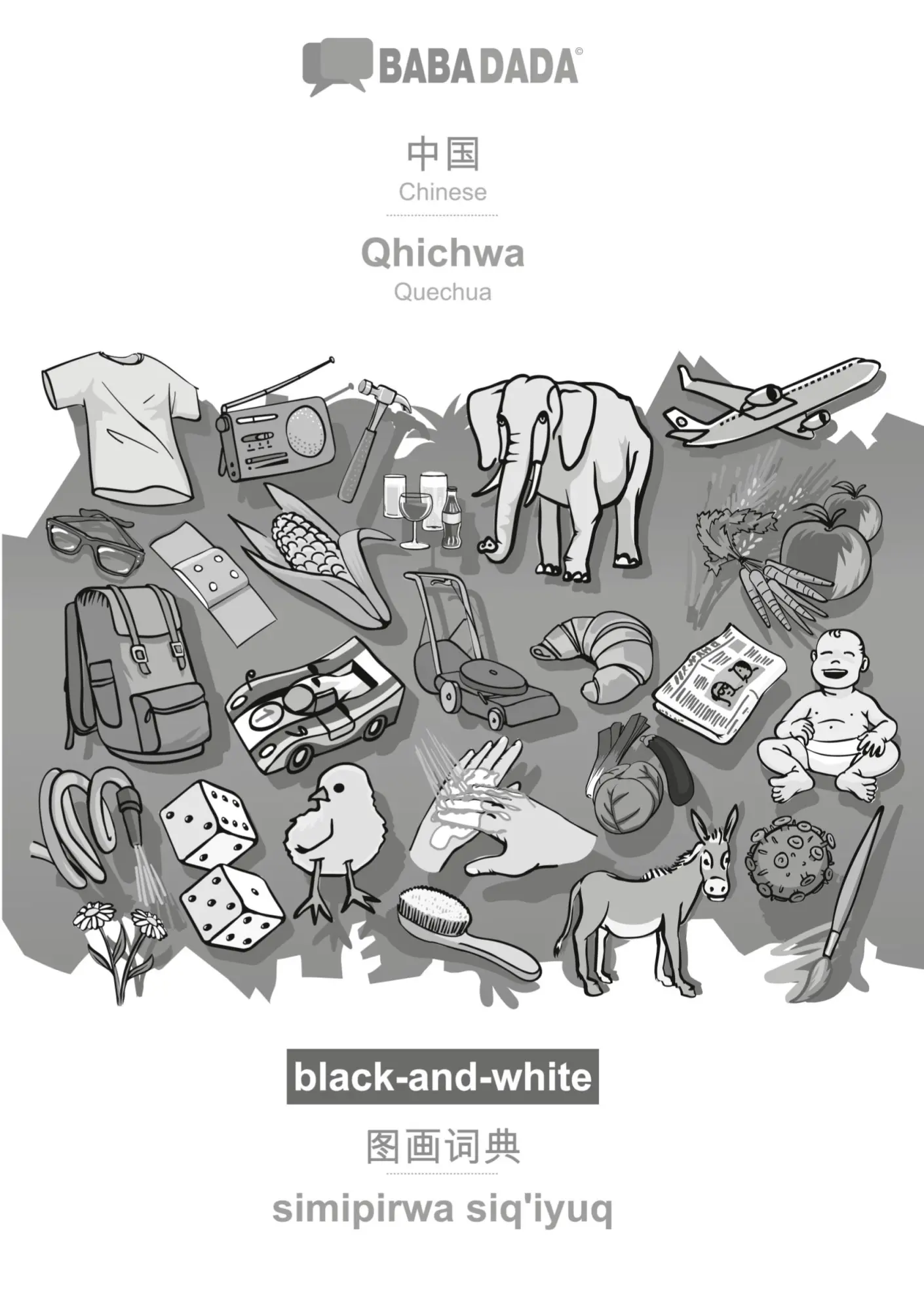 Cover: 9783366111481 | Chinese (in chinese script) - Qhichwa, visual dictionary, BW | Gmbh