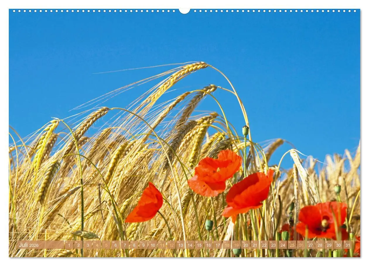 Bild: 9783457501481 | Whisky: Reine Geschmacksache (Wandkalender 2026 DIN A2 quer),...