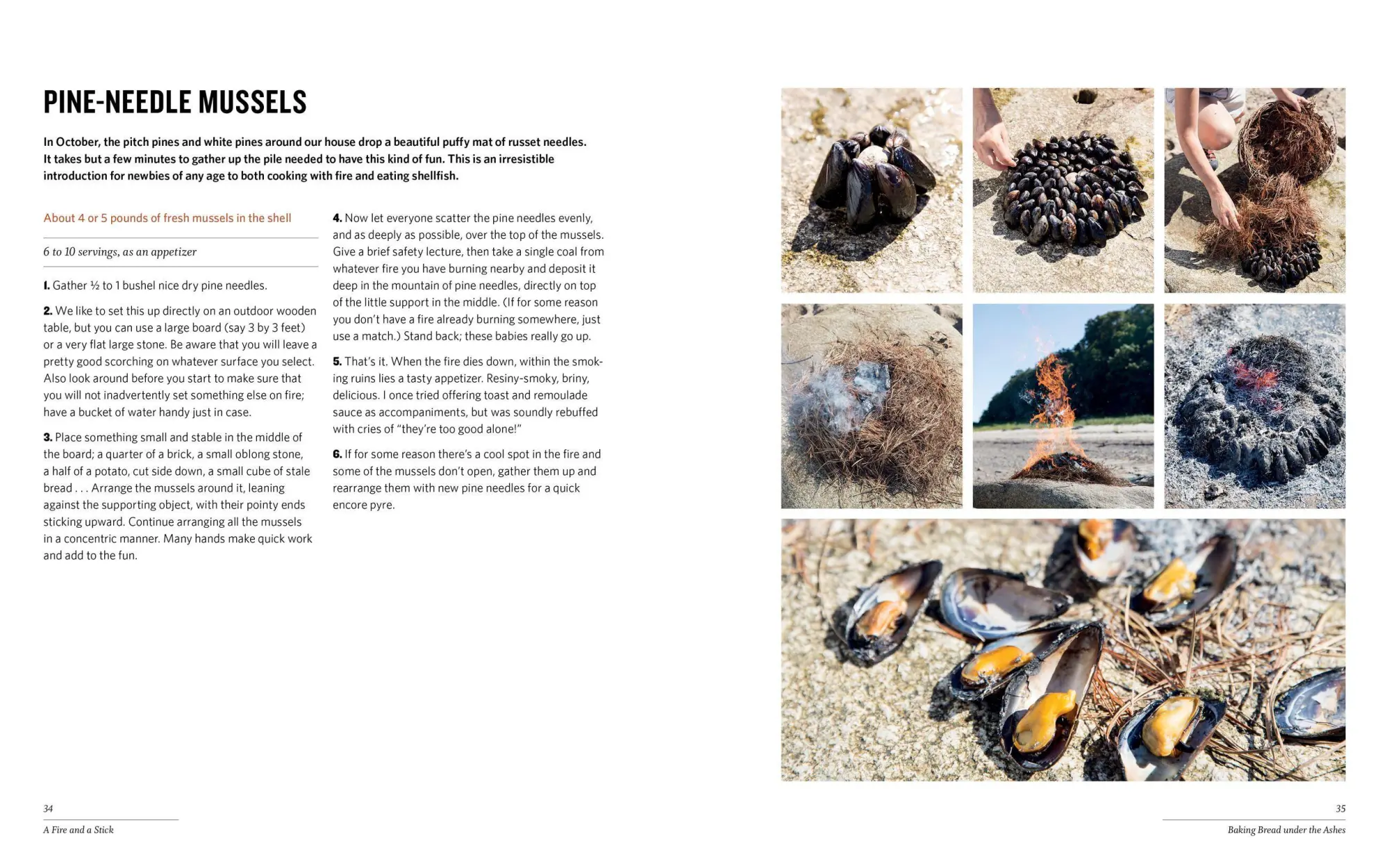 Bild: 9781612121581 | Cooking with Fire | Paula Marcoux | Taschenbuch | Englisch | 2014