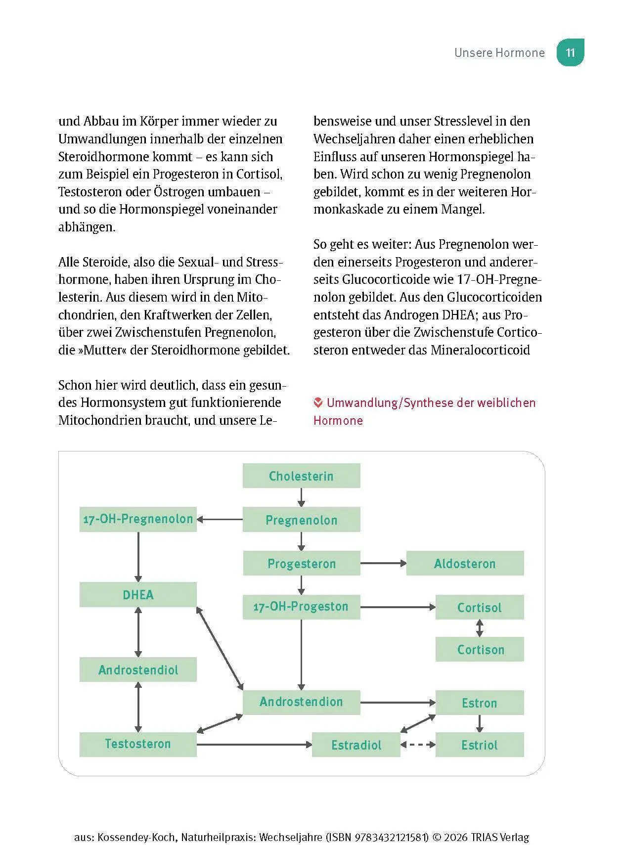 Bild: 9783432121581 | Naturheilpraxis Wechseljahre | Ann-Katrin Kossendey-Koch | Taschenbuch