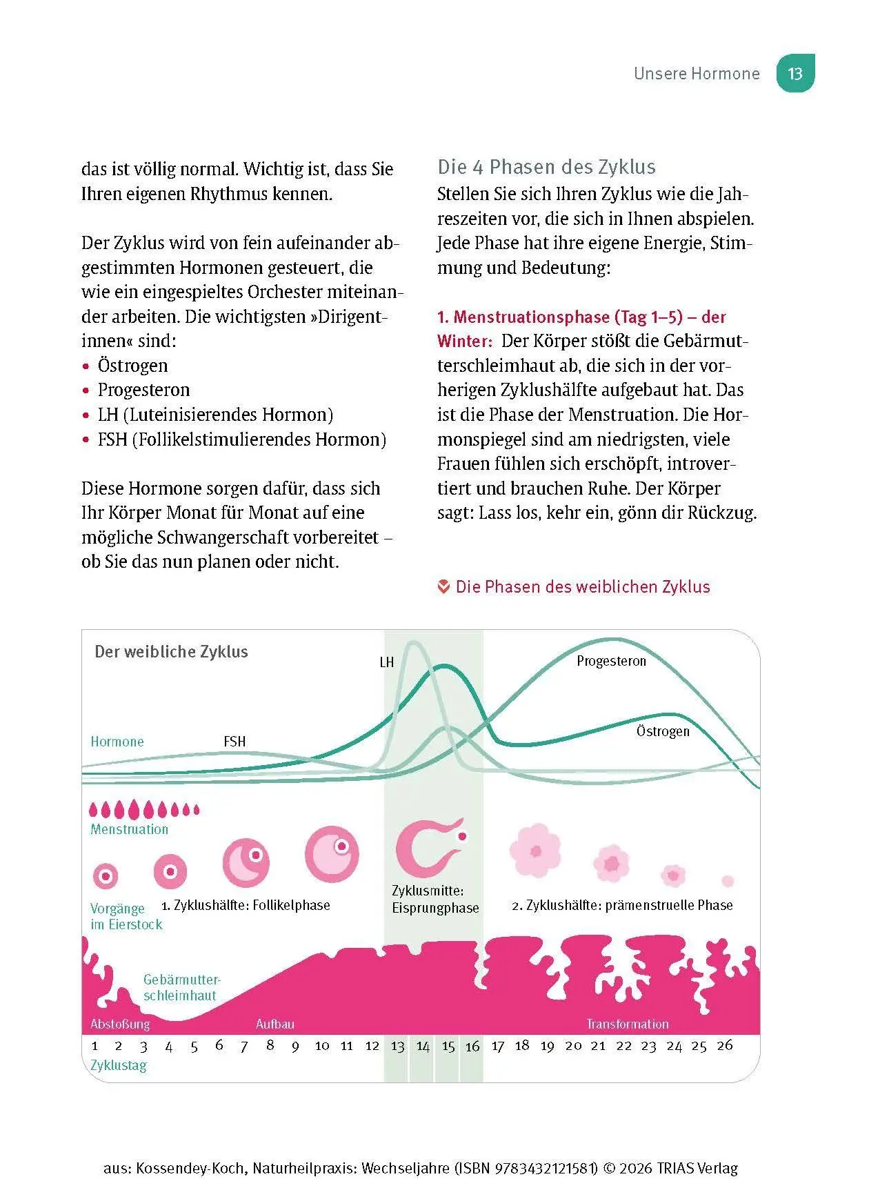 Bild: 9783432121581 | Naturheilpraxis Wechseljahre | Ann-Katrin Kossendey-Koch | Taschenbuch