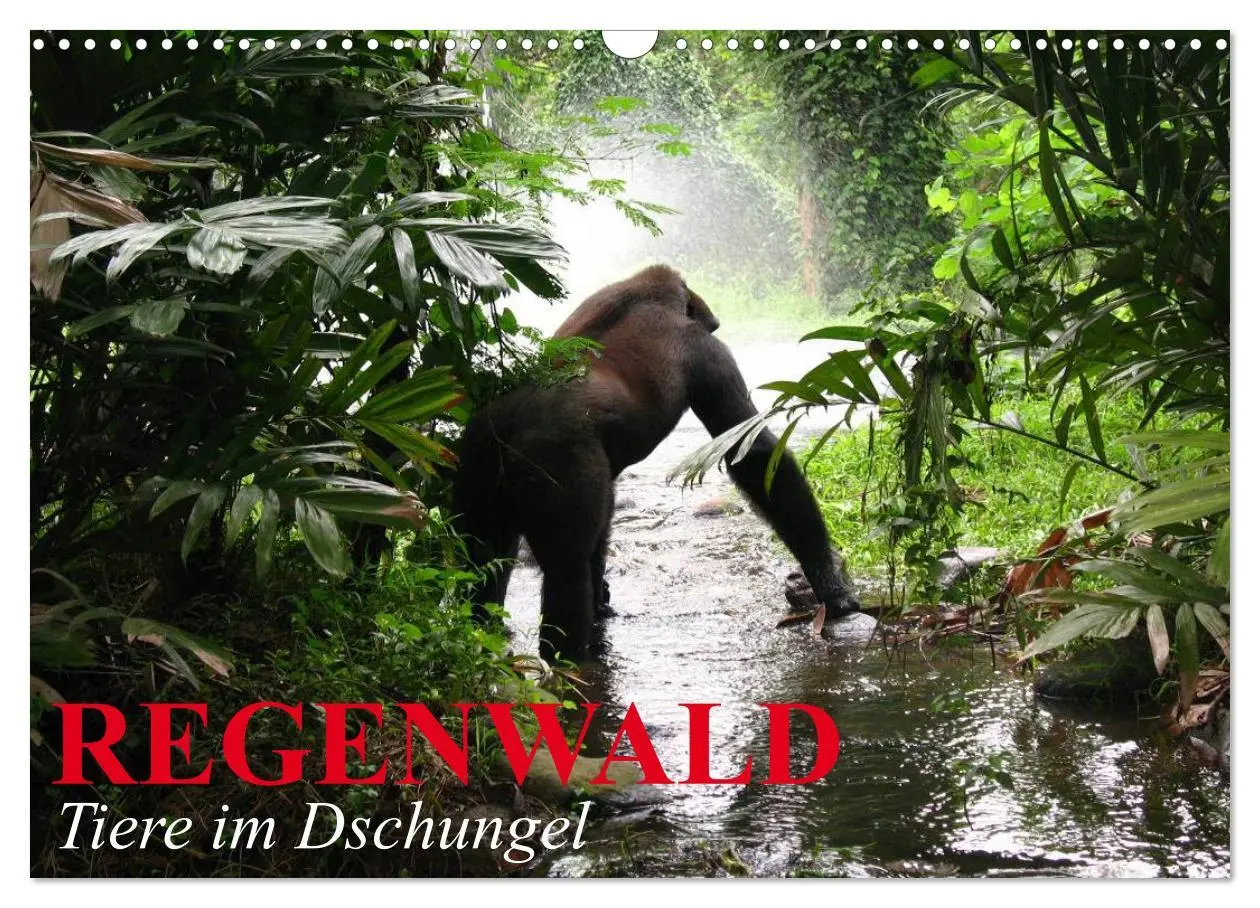 Cover: 9783516131581 | Regenwald ¿ Tiere im Dschungel (Wandkalender 2026 DIN A3 quer),...