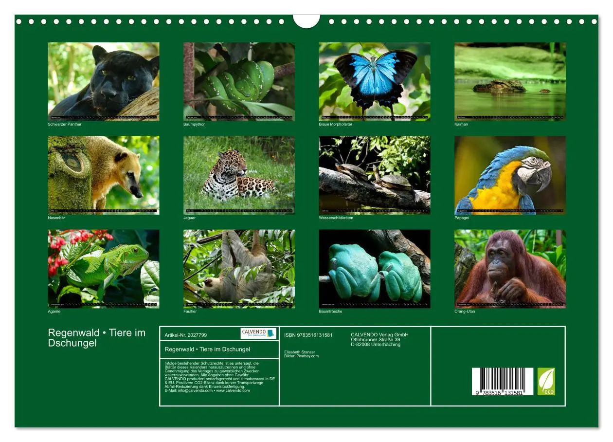 Bild: 9783516131581 | Regenwald ¿ Tiere im Dschungel (Wandkalender 2026 DIN A3 quer),...