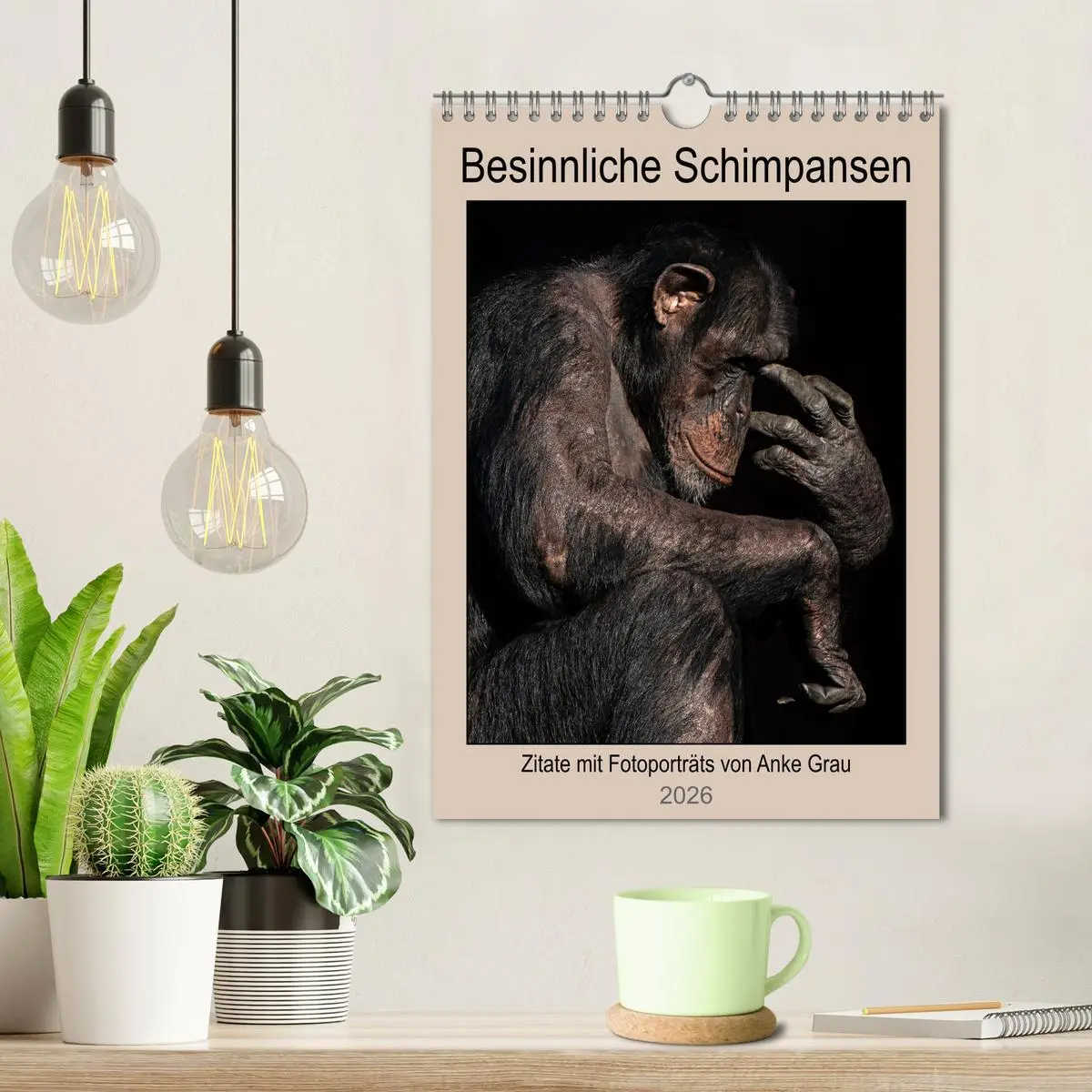 Bild: 9783516371581 | Besinnliche Schimpansen (Wandkalender 2026 DIN A4 hoch), CALVENDO...