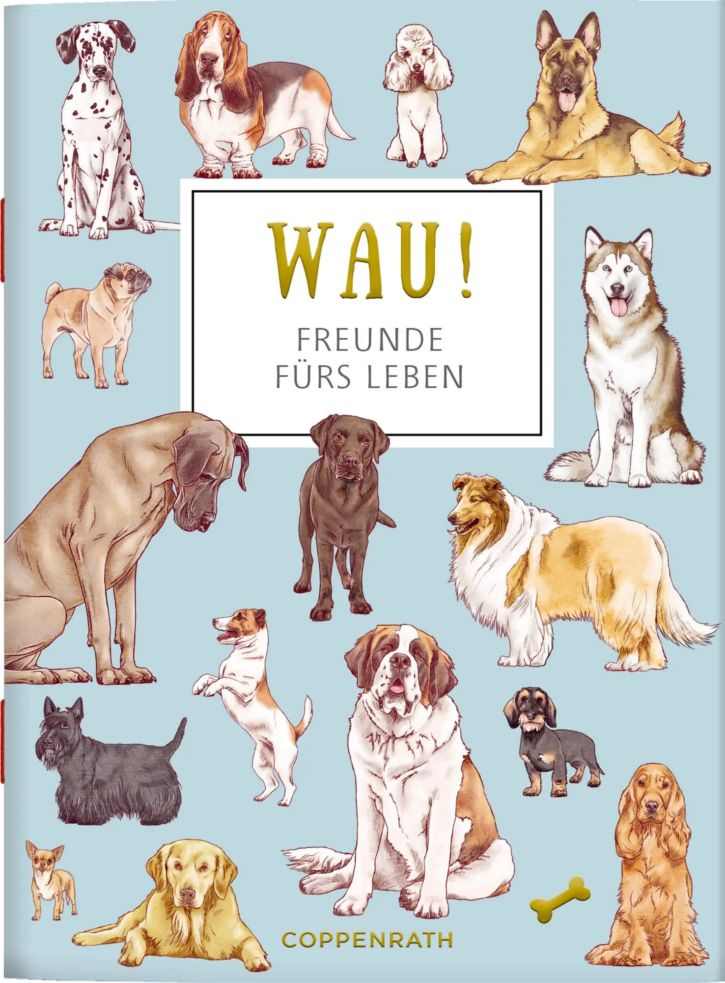 Cover: 9783649651581 | WAU! - Freunde fürs Leben | Julia Gerigk | Taschenbuch | Schöne Grüße