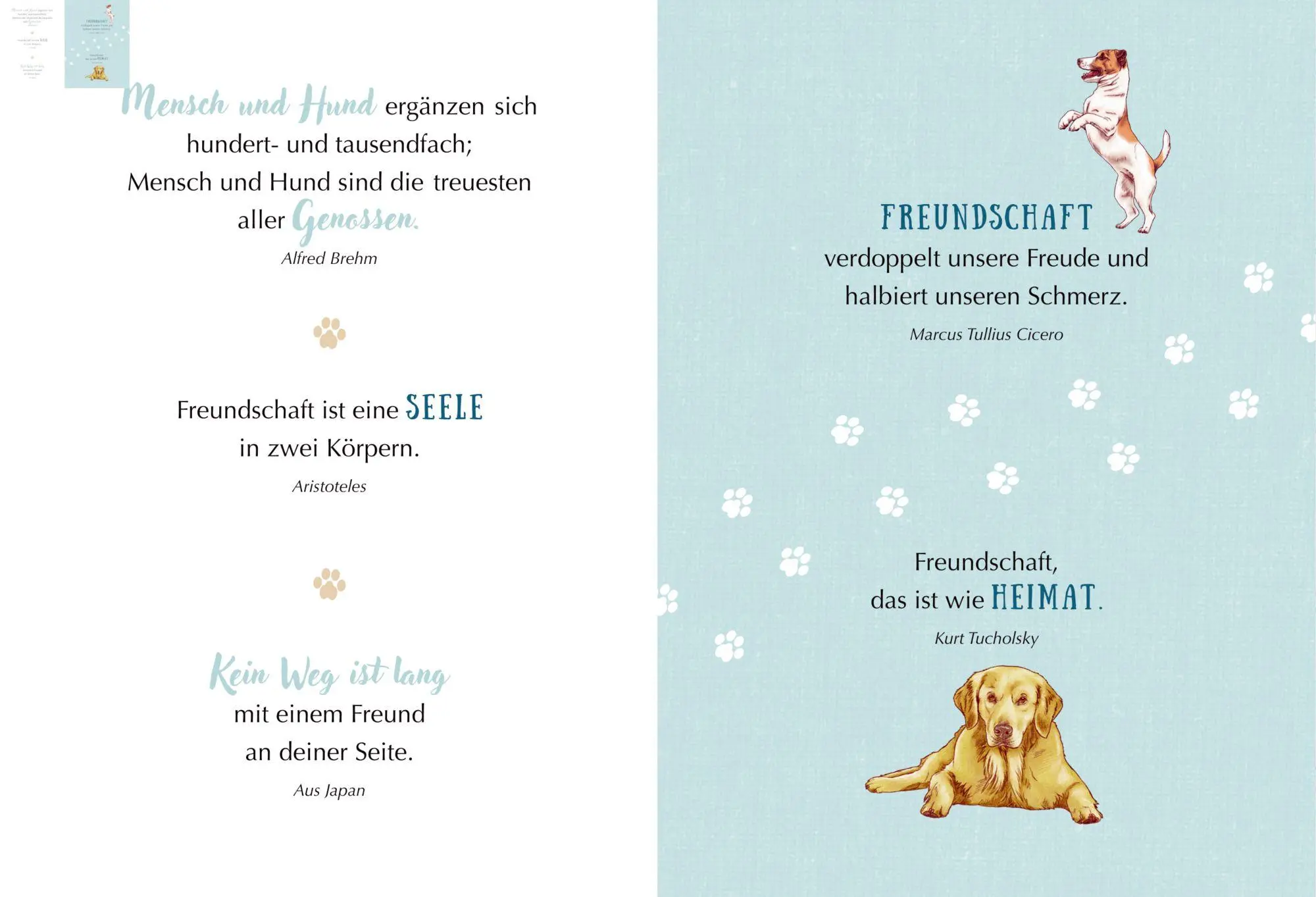 Bild: 9783649651581 | WAU! - Freunde fürs Leben | Julia Gerigk | Taschenbuch | Schöne Grüße