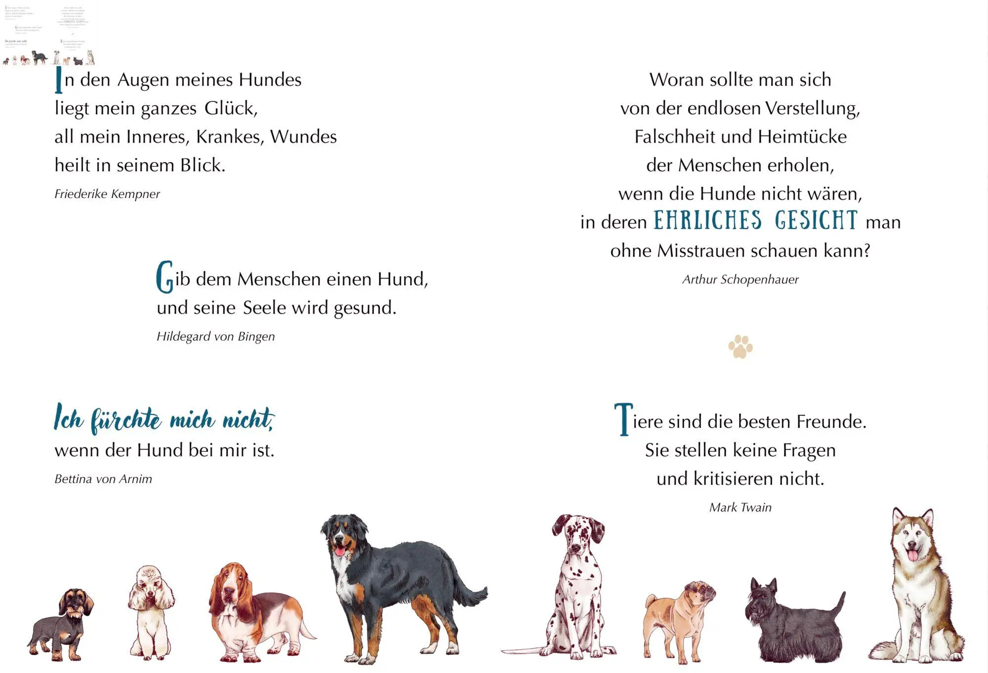 Bild: 9783649651581 | WAU! - Freunde fürs Leben | Julia Gerigk | Taschenbuch | Schöne Grüße