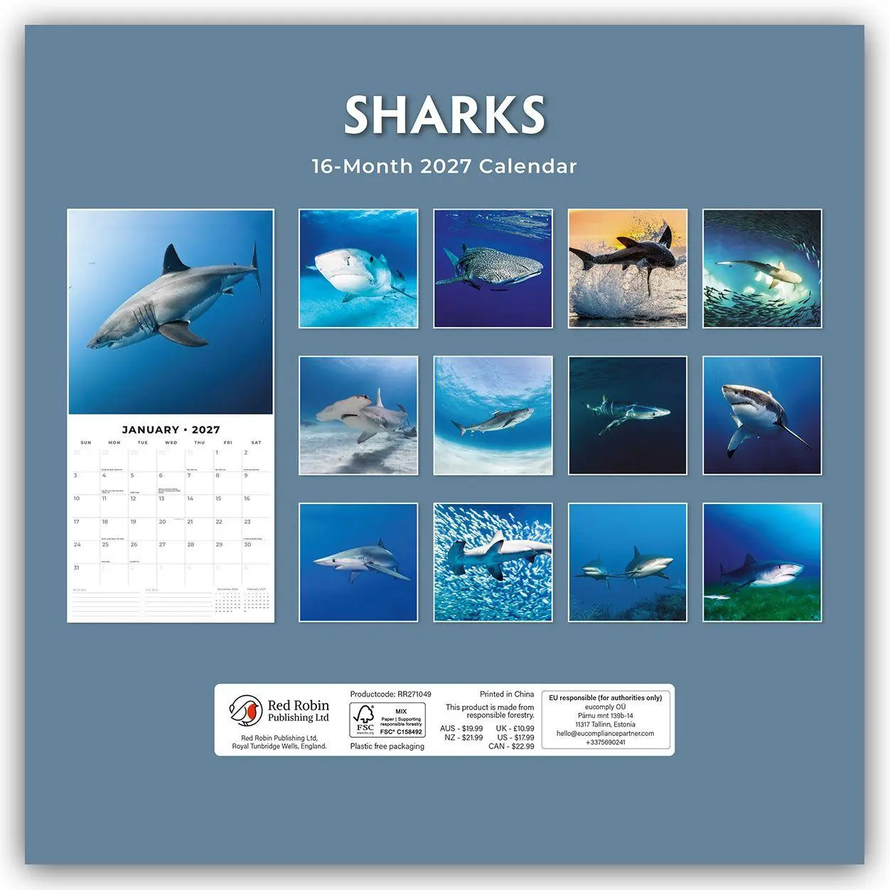 Rückseite: 9781837011681 | Sharks - Haie 2027 - 16-Monatskalender | Robin Red | Kalender | 28 S.