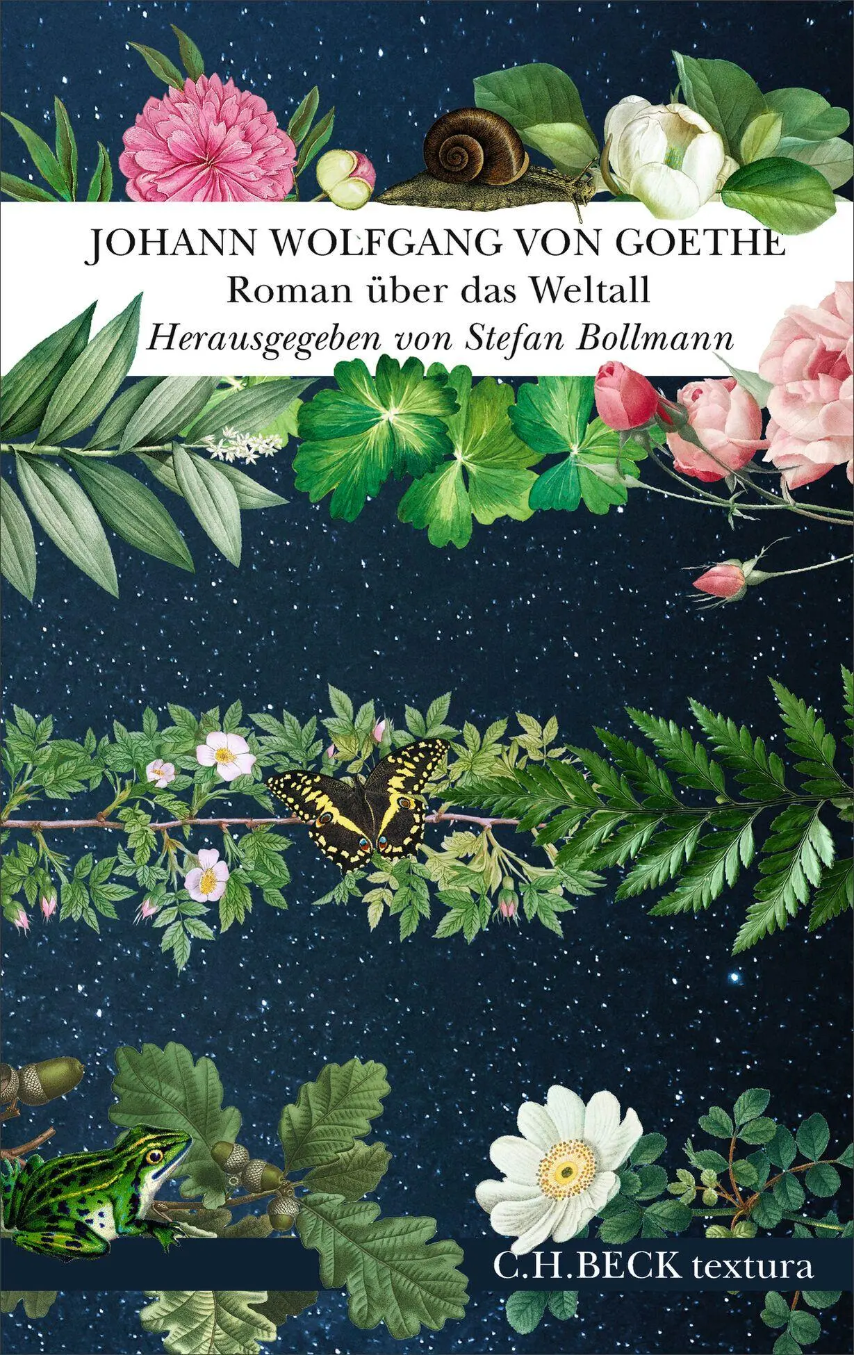 Cover: 9783406851681 | Roman über das Weltall | Johann Wolfgang von Goethe | Buch | textura