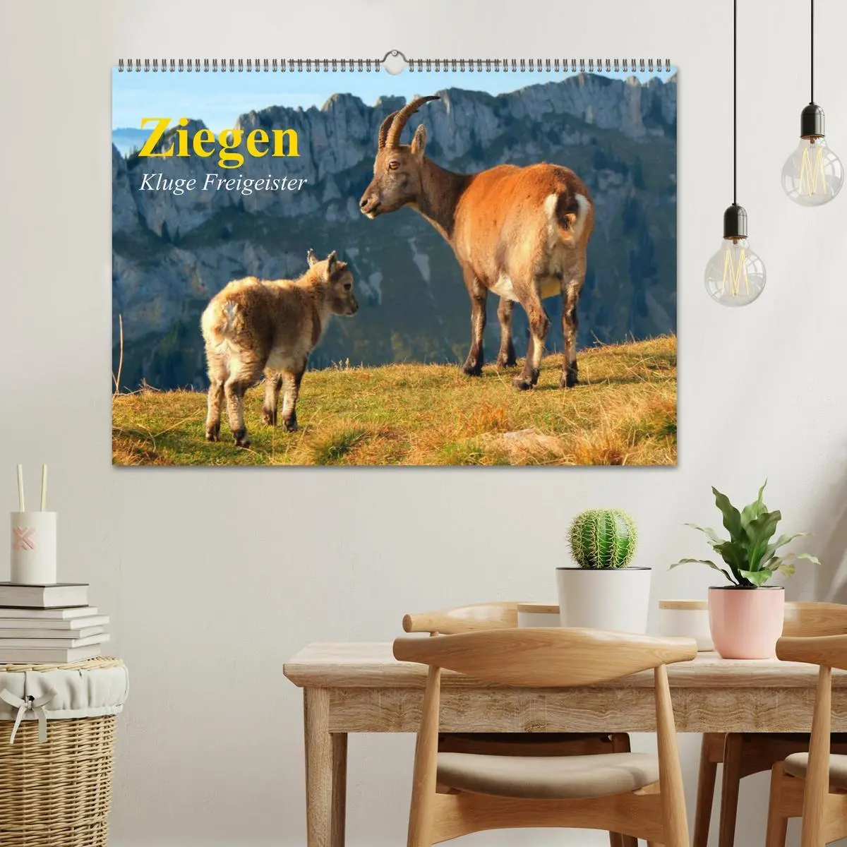 Bild: 9783516051681 | Ziegen. Kluge Freigeister (Wandkalender 2026 DIN A2 quer), CALVENDO...