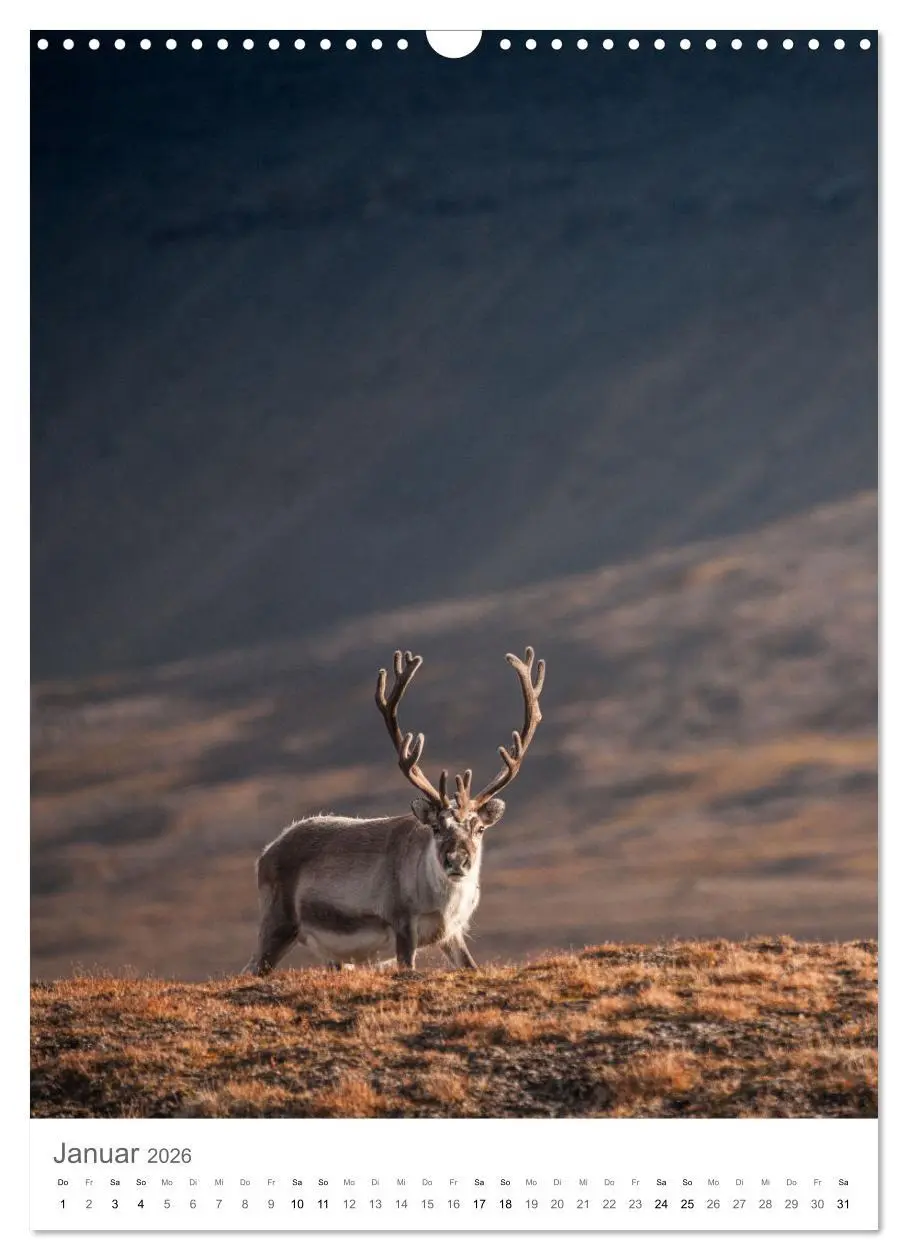 Bild: 9783516291681 | Die Arktis - Naturfotografien aus Spitzbergen (Wandkalender 2026...