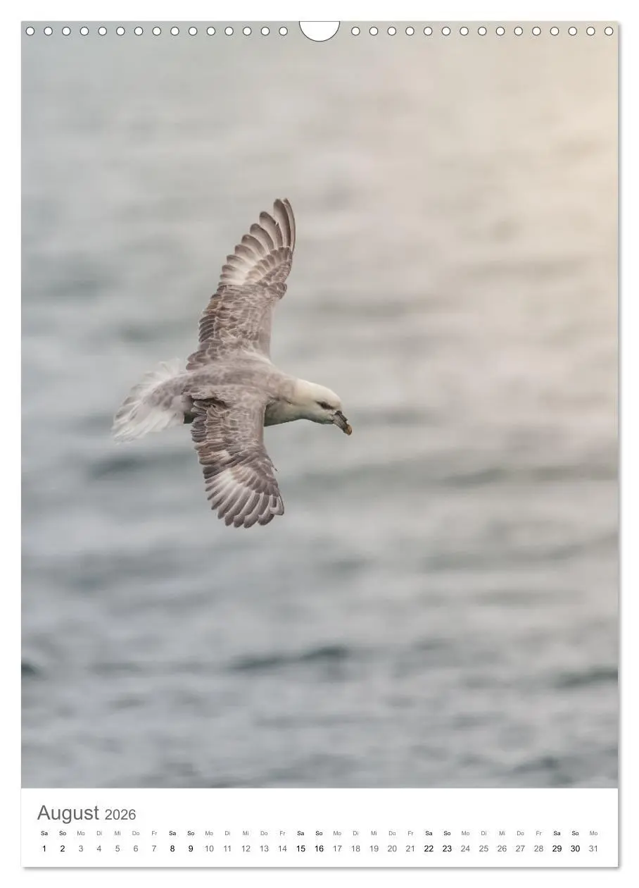 Bild: 9783516291681 | Die Arktis - Naturfotografien aus Spitzbergen (Wandkalender 2026...
