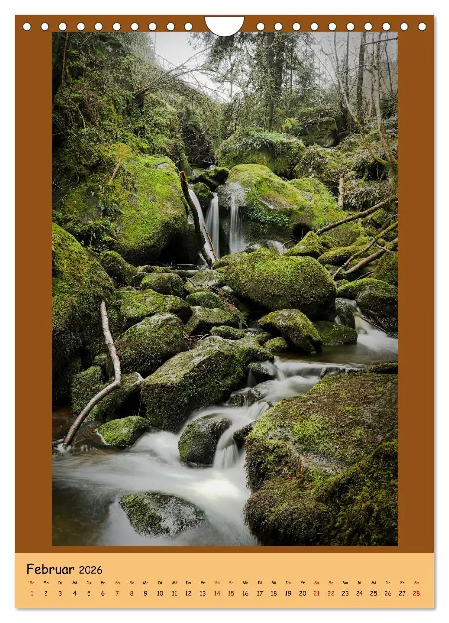 Bild: 9783516361681 | Schwarzwald Wasserfälle (Wandkalender 2026 DIN A4 hoch), CALVENDO...