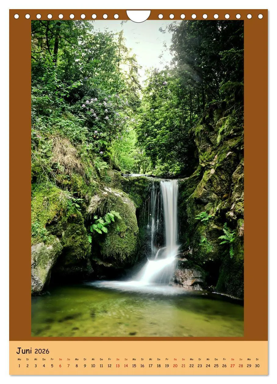 Bild: 9783516361681 | Schwarzwald Wasserfälle (Wandkalender 2026 DIN A4 hoch), CALVENDO...
