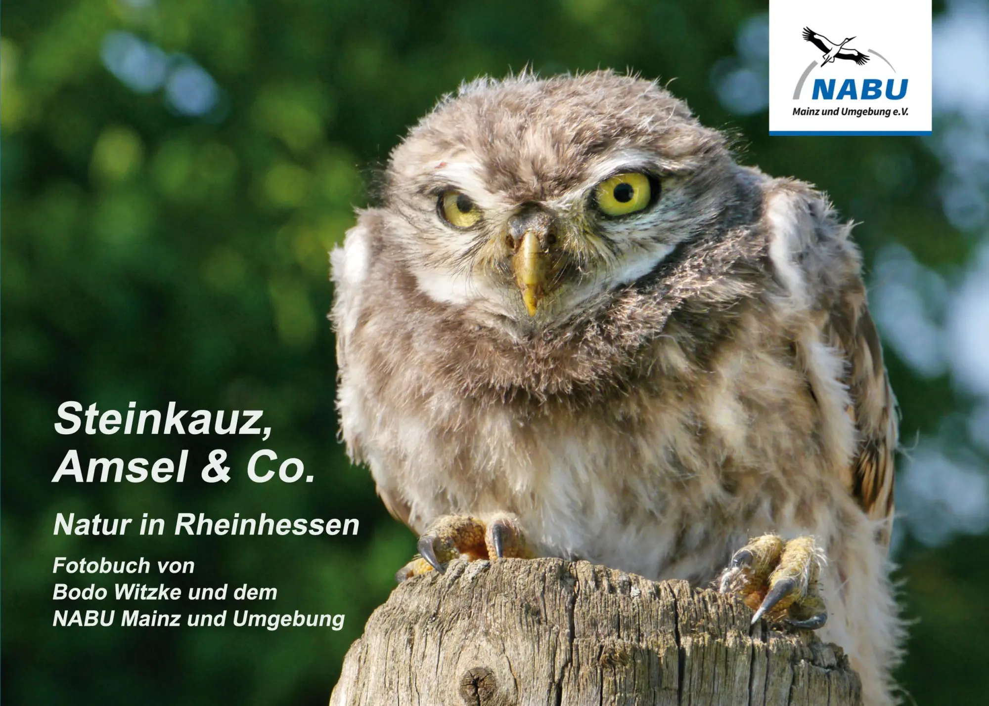 Cover: 9783753421681 | Steinkauz, Amsel &amp; Co. | Natur in Rheinhessen | Bodo Witzke | Buch