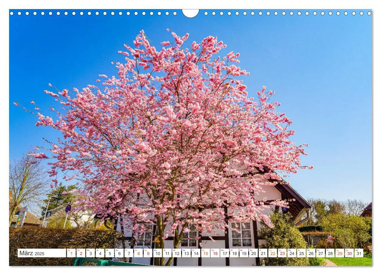Bild: 9783435231881 | Wustrow Impressionen (Wandkalender 2025 DIN A3 quer), CALVENDO...
