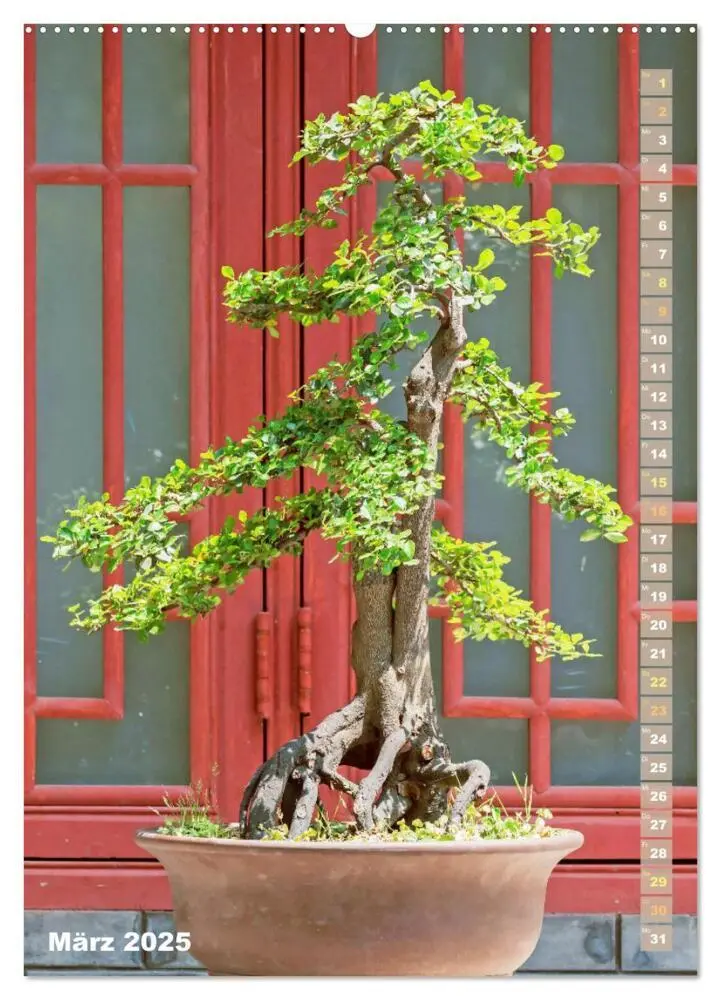 Bild: 9783435851881 | Bonsai: Gartenkunst im Kleinen (Wandkalender 2025 DIN A2 hoch),...