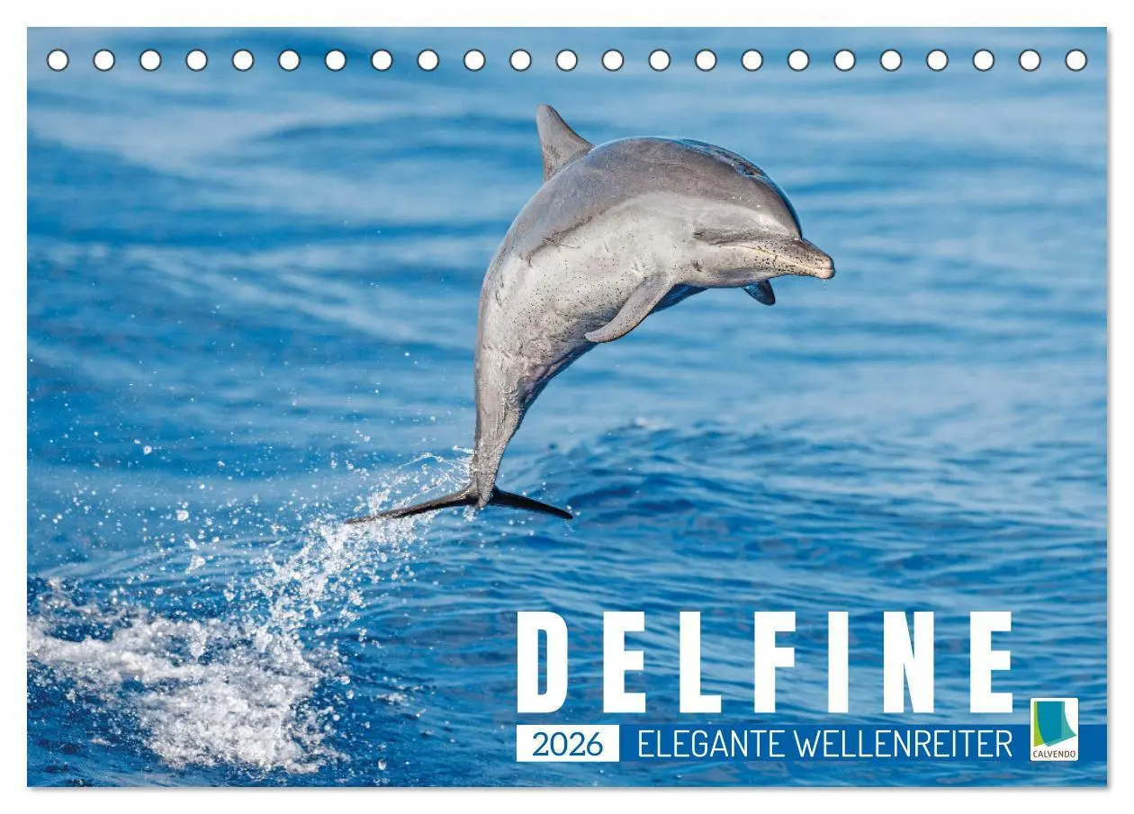Cover: 9783457491881 | Delfine: Elegante Wellenreiter (Tischkalender 2026 DIN A5 quer),...