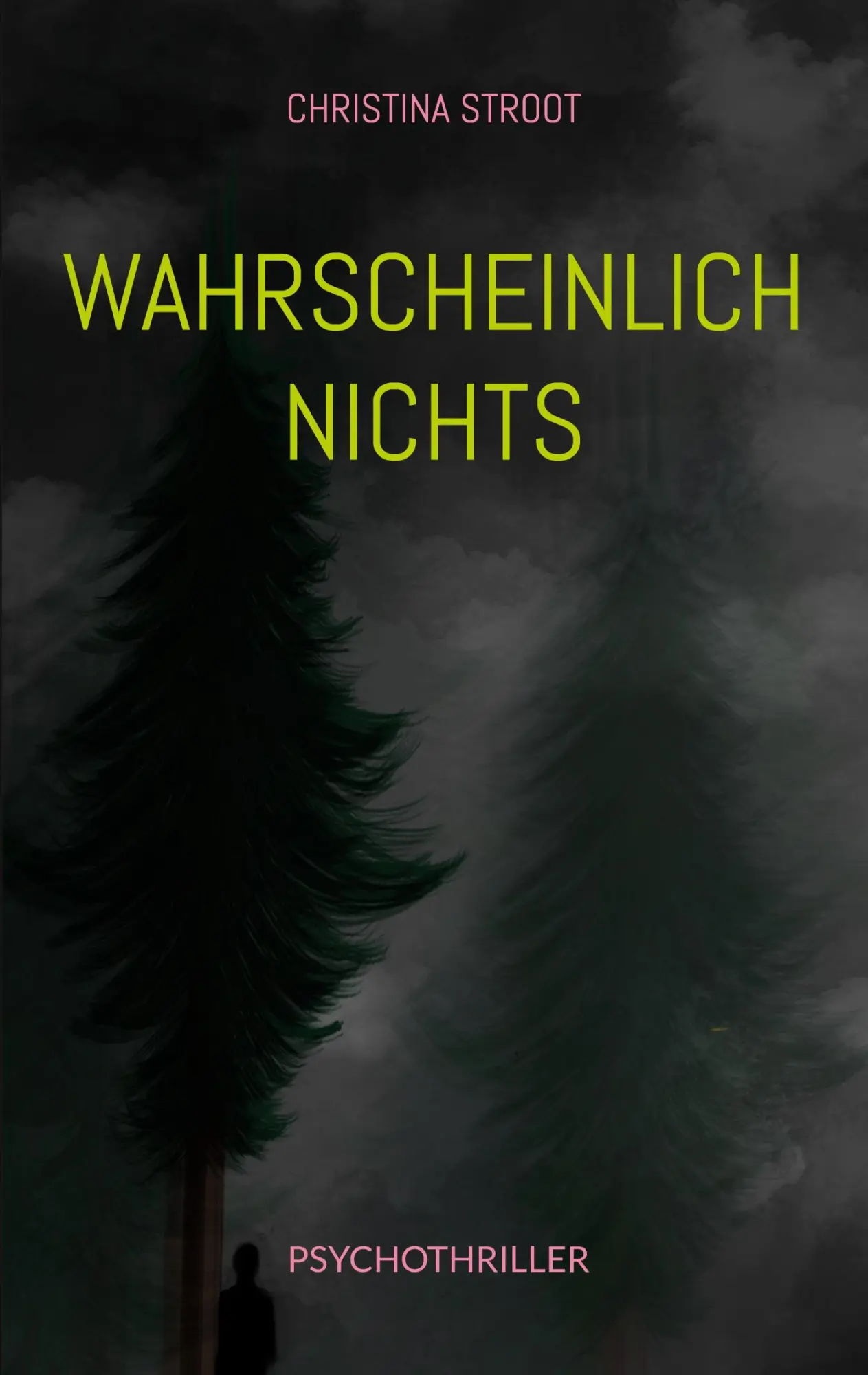 Cover: 9783819211881 | Wahrscheinlich nichts | Christina Stroot | Taschenbuch | 152 S. | 2025