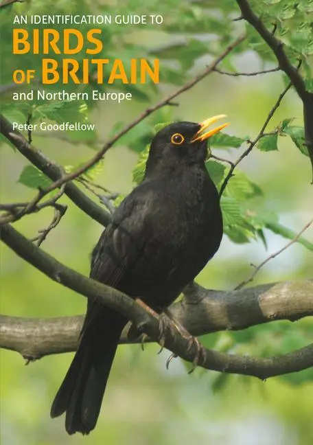 Cover: 9781912081981 | An Identification Guide to Birds of Britain and Northern Europe...