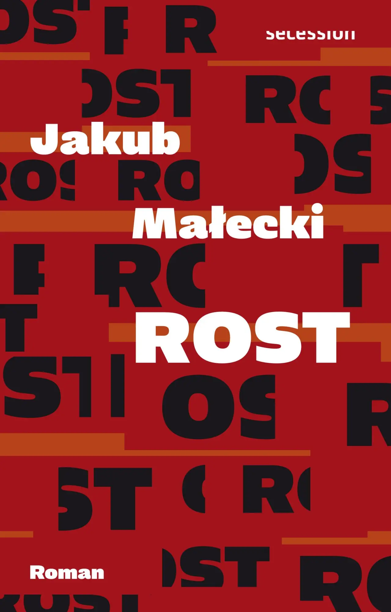 Cover: 9783905951981 | Rost | Roman | Jakub Malecki | Buch | 295 S. | Deutsch | 2021