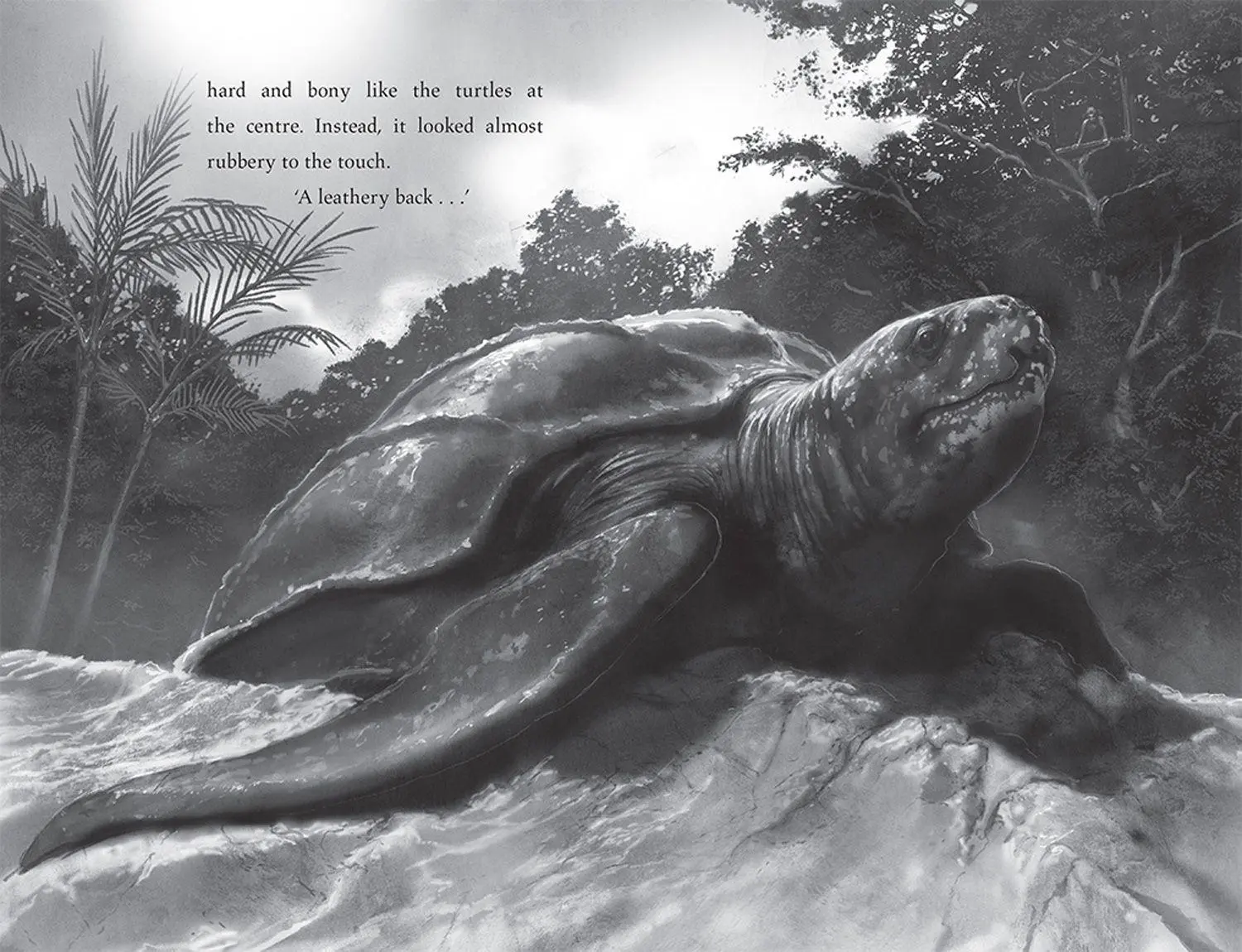 Bild: 9780008582081 | Turtle Moon | Hannah Gold | Taschenbuch | 352 S. | Englisch | 2025