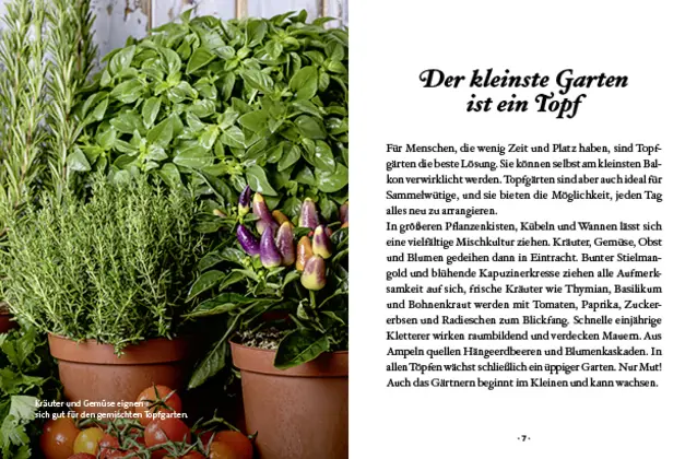 Bild: 9783710402081 | Das kleine Buch: Topfgärtner | Der eigene Garten auf kleinem Raum