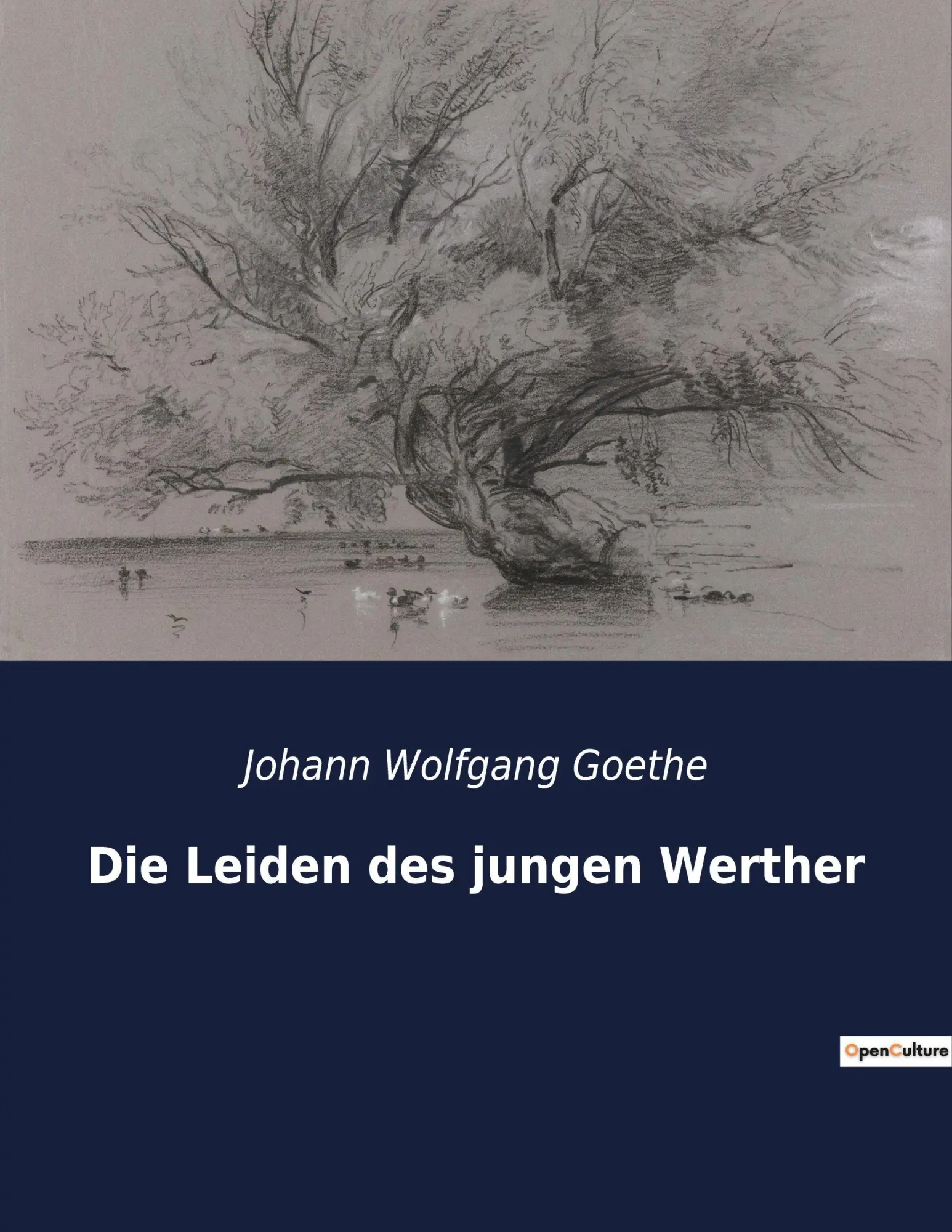 Cover: 9782382742181 | Die Leiden des jungen Werther | Johann Wolfgang Goethe | Taschenbuch