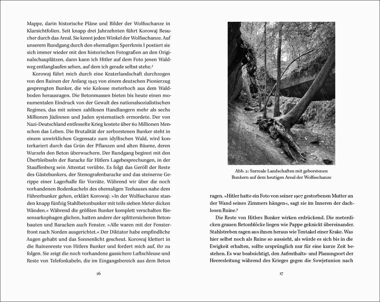 Bild: 9783518432181 | Vor dem Untergang | Felix Bohr | Buch | 300 S. | Deutsch | 2025