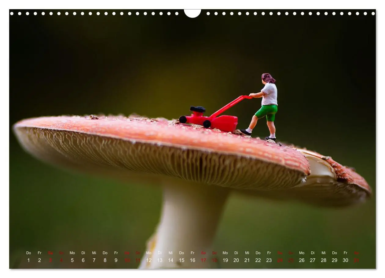 Bild: 9783457592281 | Höher, schneller, kleiner - Miniaturen in unserem Alltag...