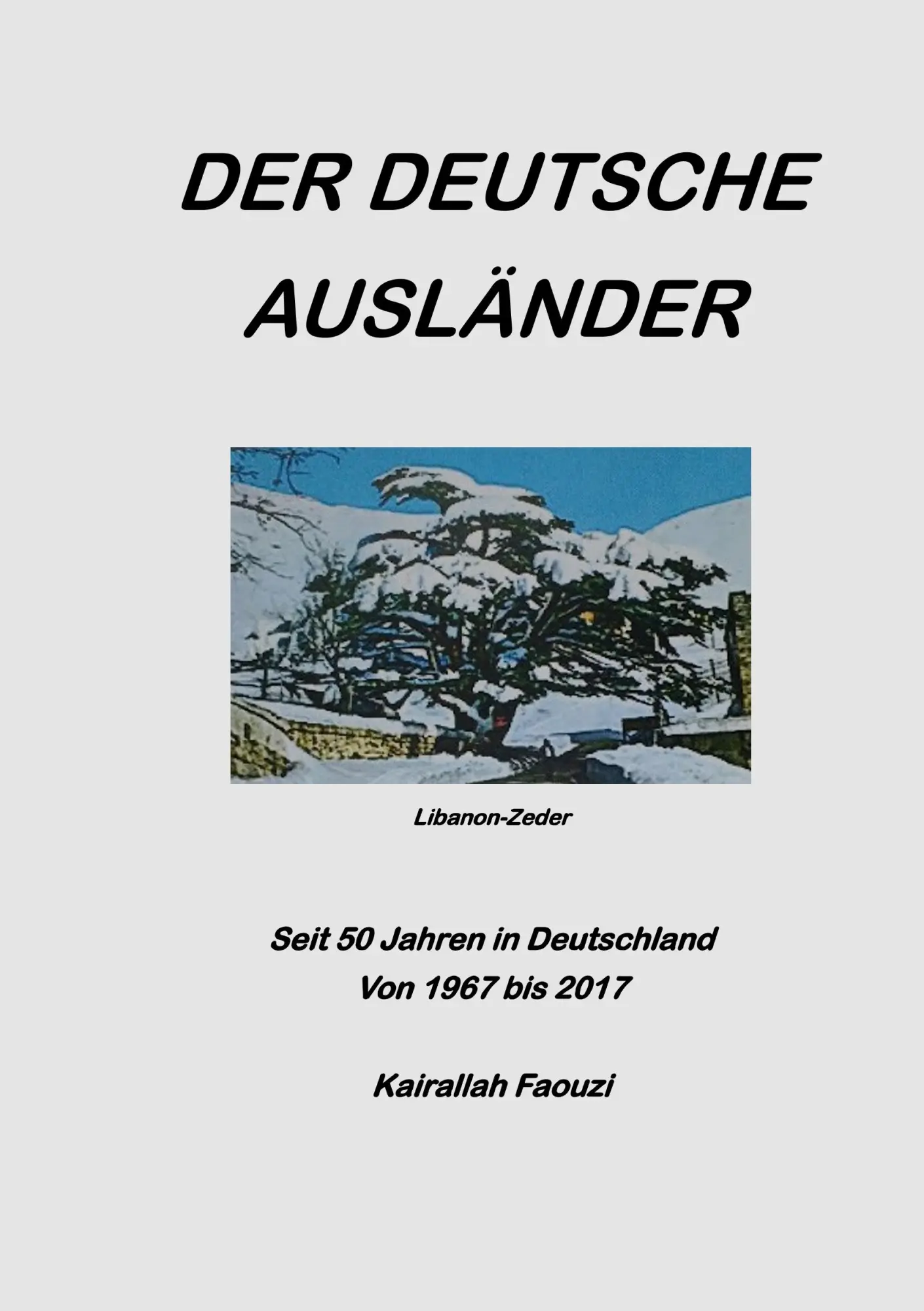 Cover: 9783743152281 | Der deutsche Ausländer | Kai Faouzi | Taschenbuch | 224 S. | Deutsch