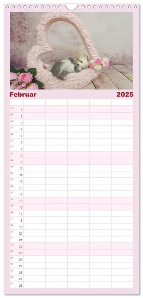 Bild: 9783457102381 | Familienplaner 2025 - Familienplaner MEERSCHWEINCHEN verzaubern uns...